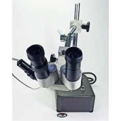 10X Stereo Mikroskop Holland
